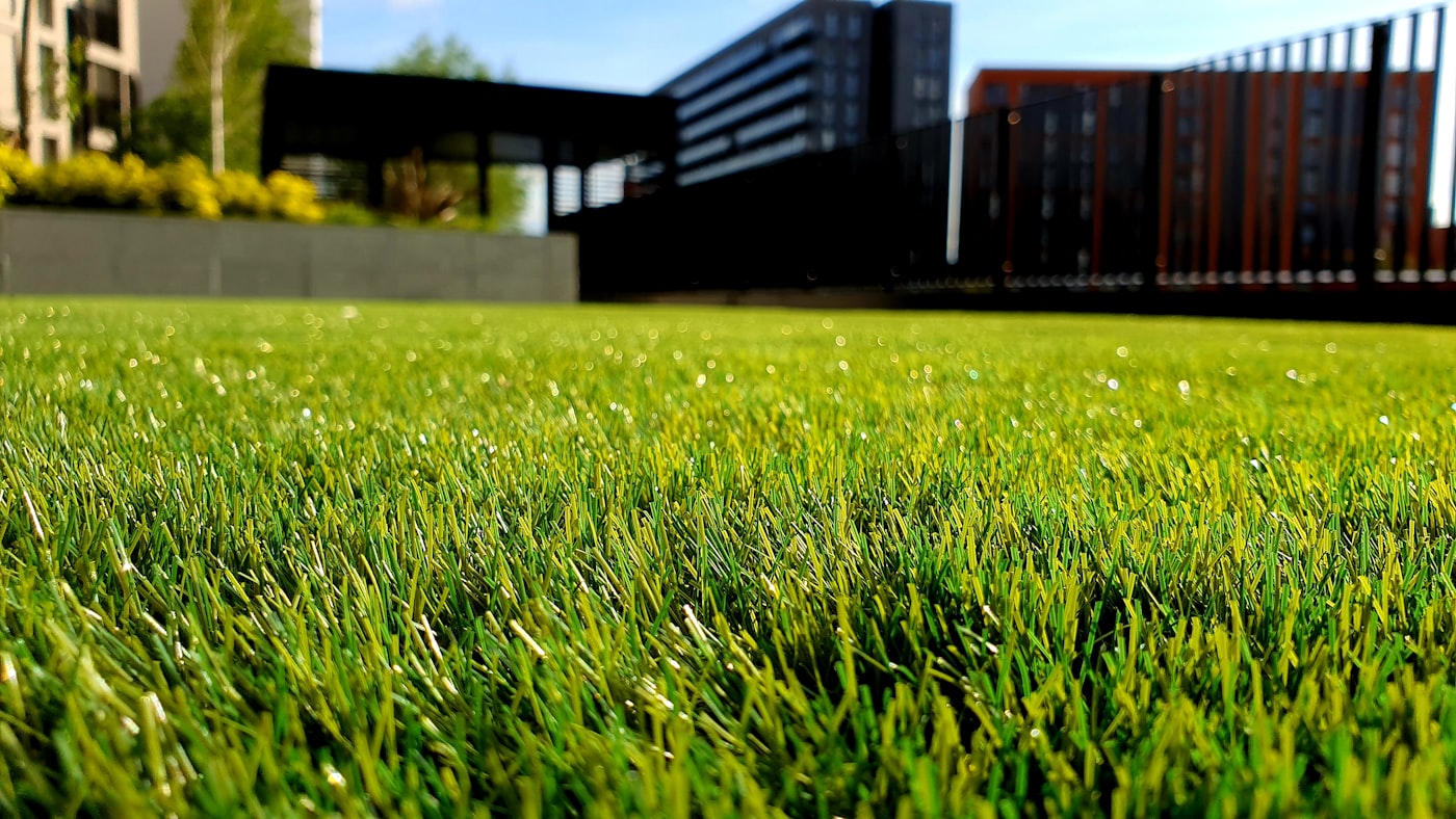 Landscape and beds